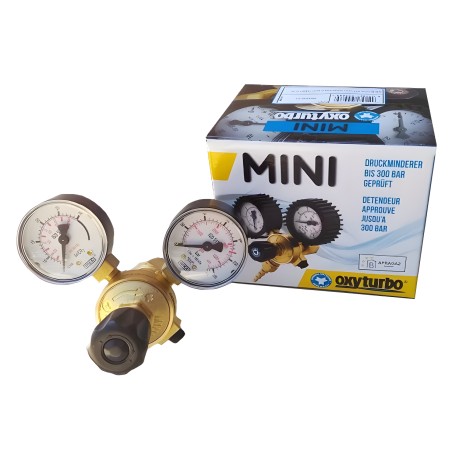Mini dual-gauge regulator